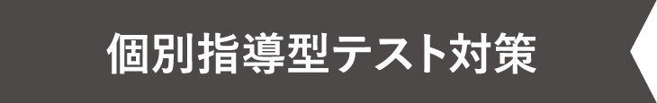 個別指導型テスト対策